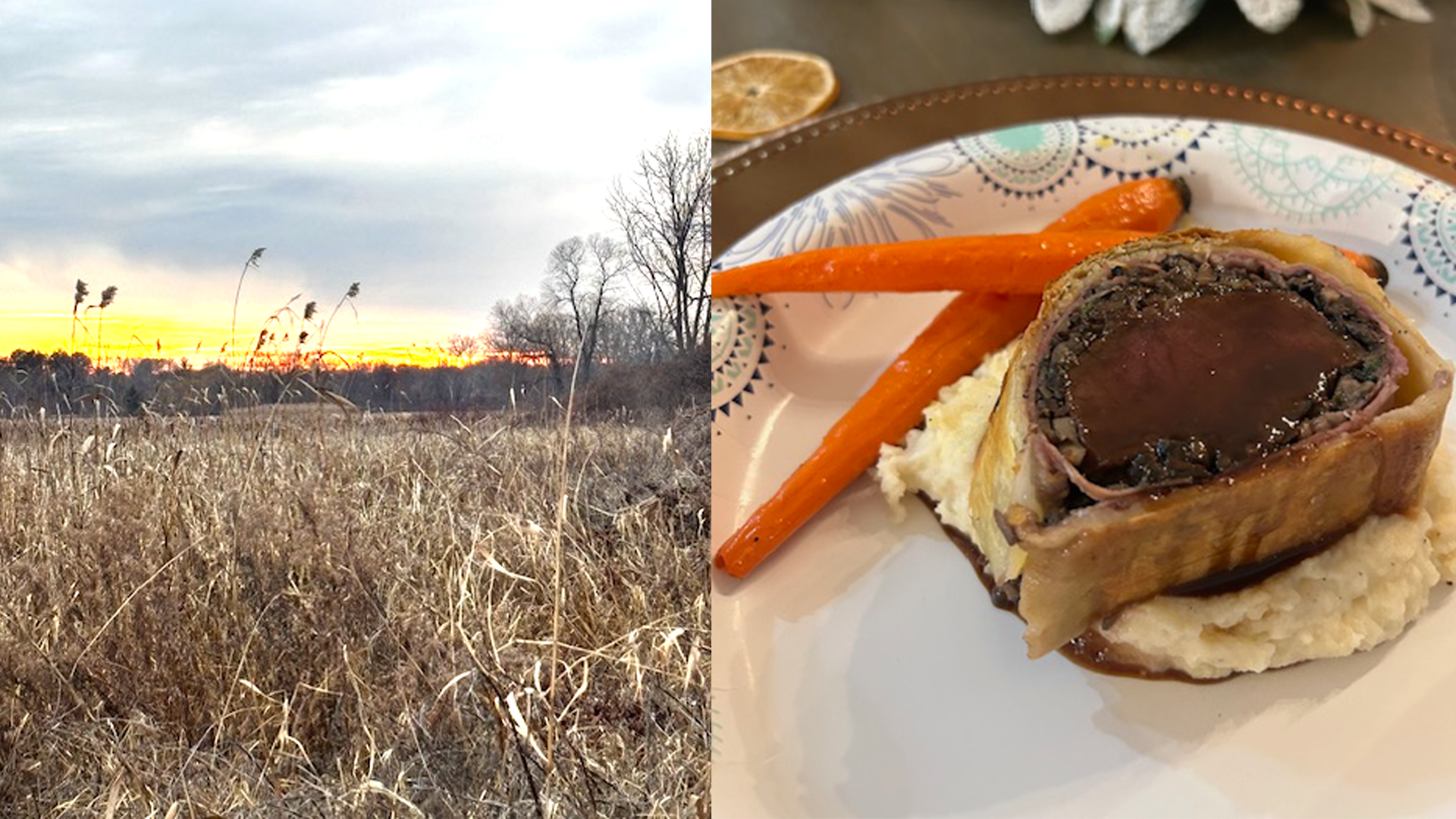 FieldtoFoodFidel