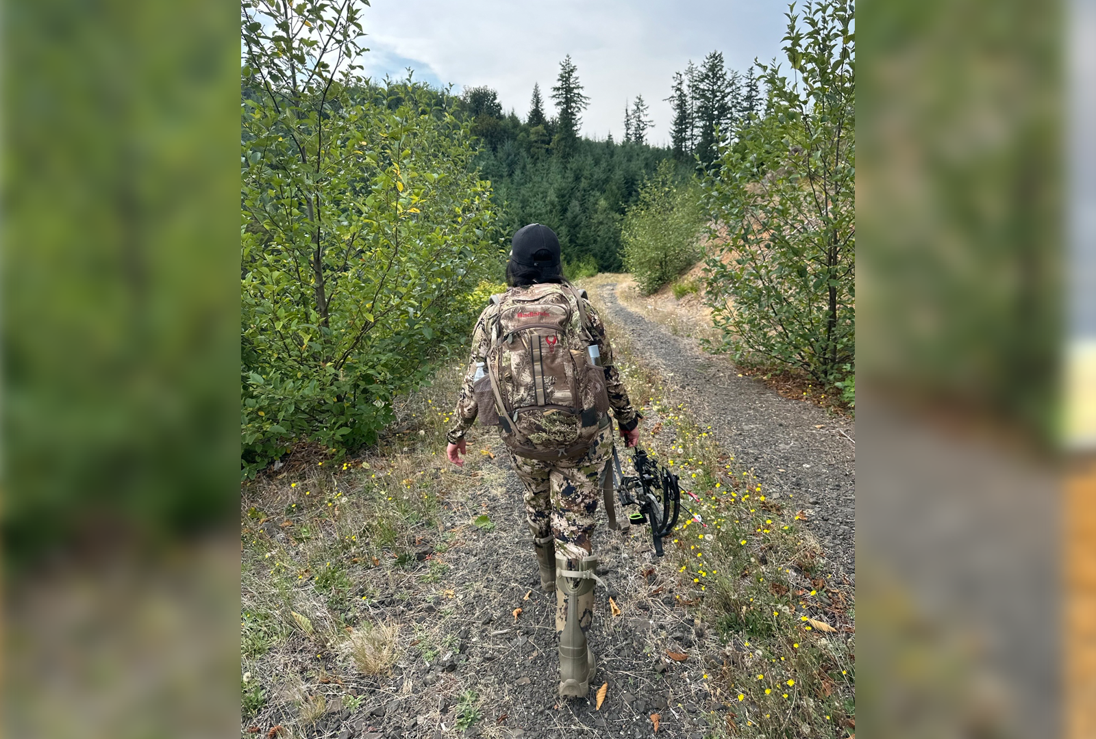 Morales Walking Road