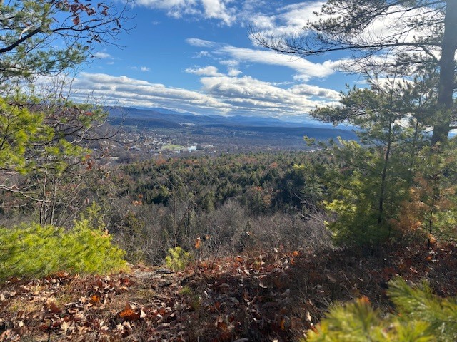 image6